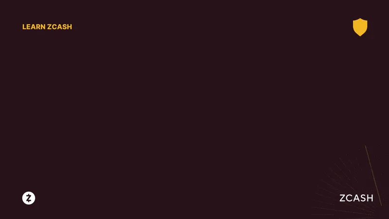 Zcash's Quantum Leap: Price Surge and What Reddit Thinks